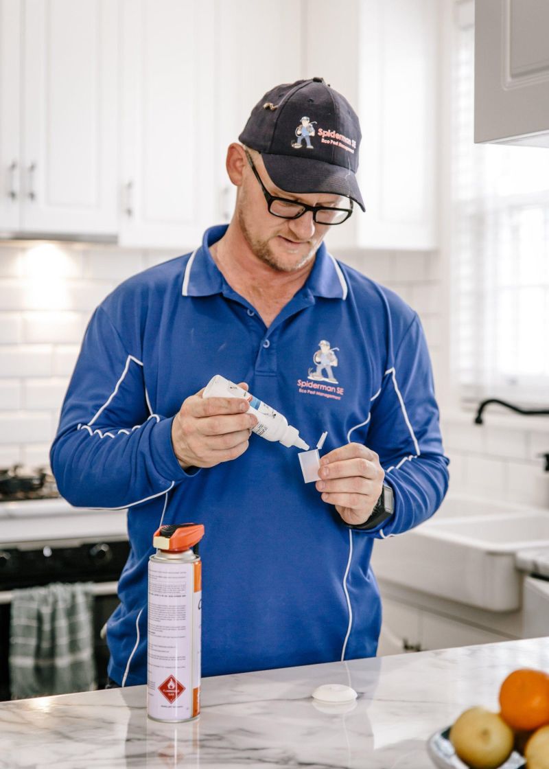 Pest control treatment - indoor ant pest control