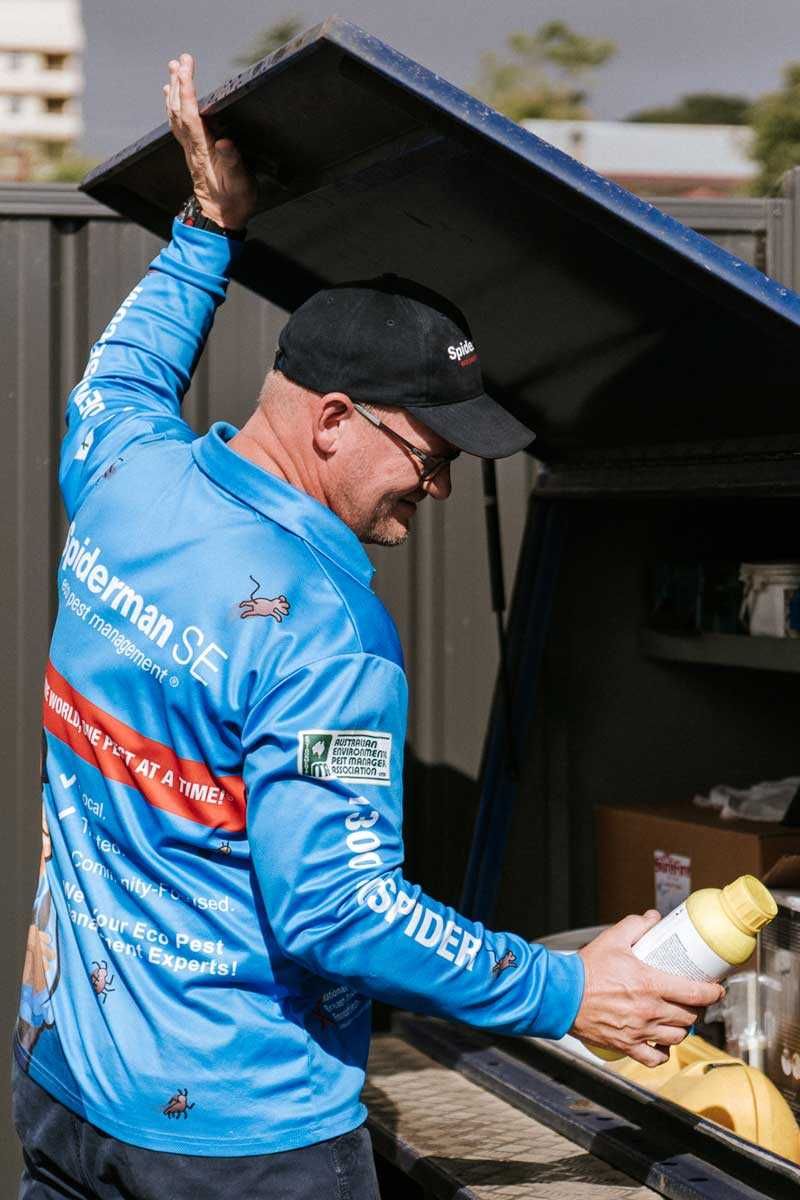 Termite control using Termidor termite treatment solution