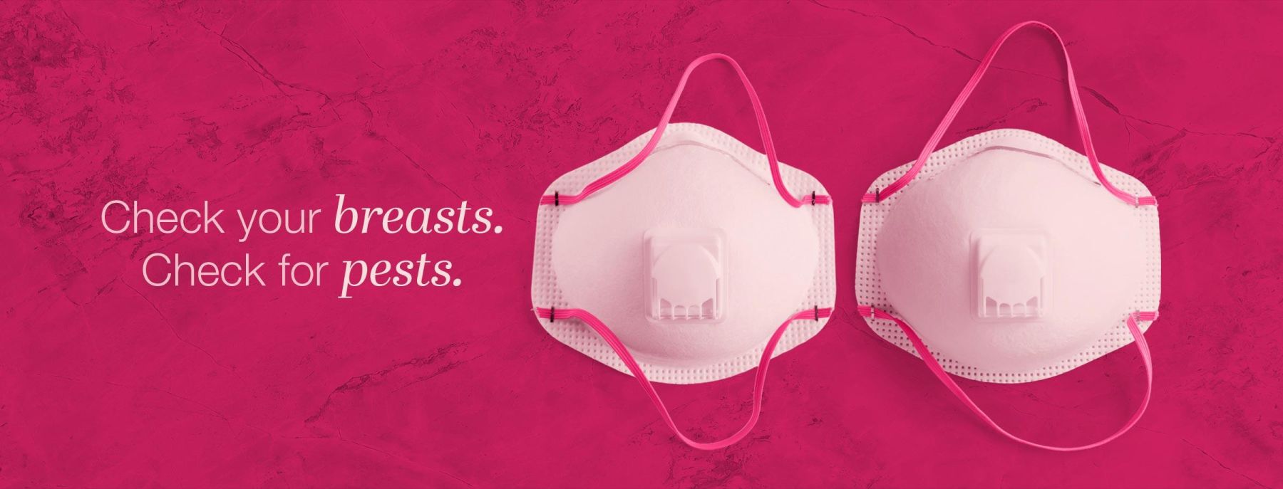 Pest and Termite Assessment - Check your breasts check for pests -  National Breast Cancer Foundation GO PINK 2026.