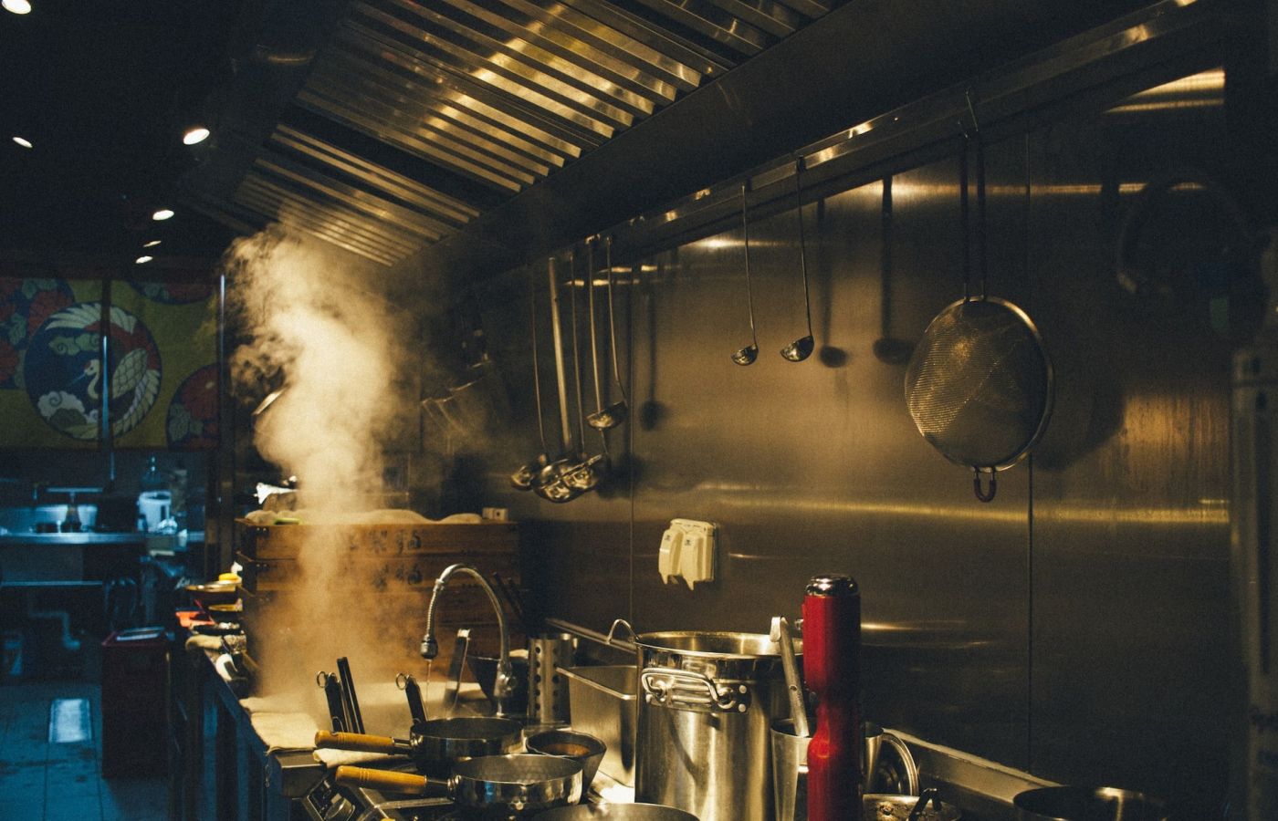 commercial pest control for business - commercial kitchen