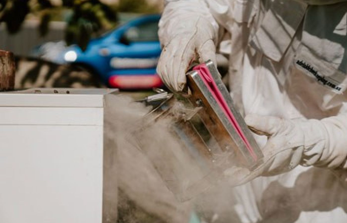 Beehive removal - smoking bee nest, capturing the queen