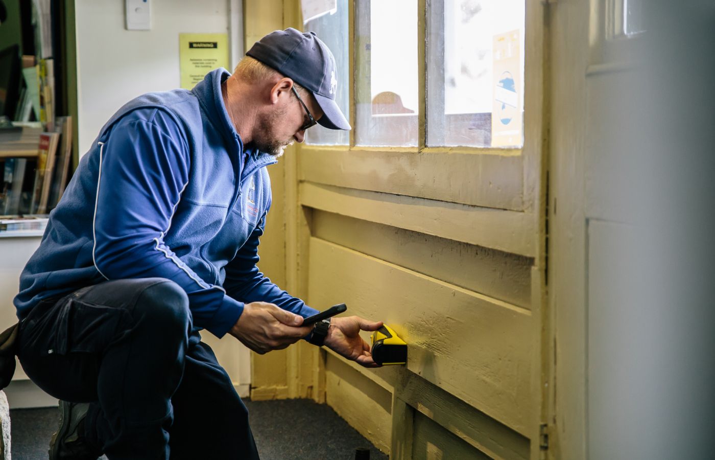 termite inspection, termite treatment, and termite control services