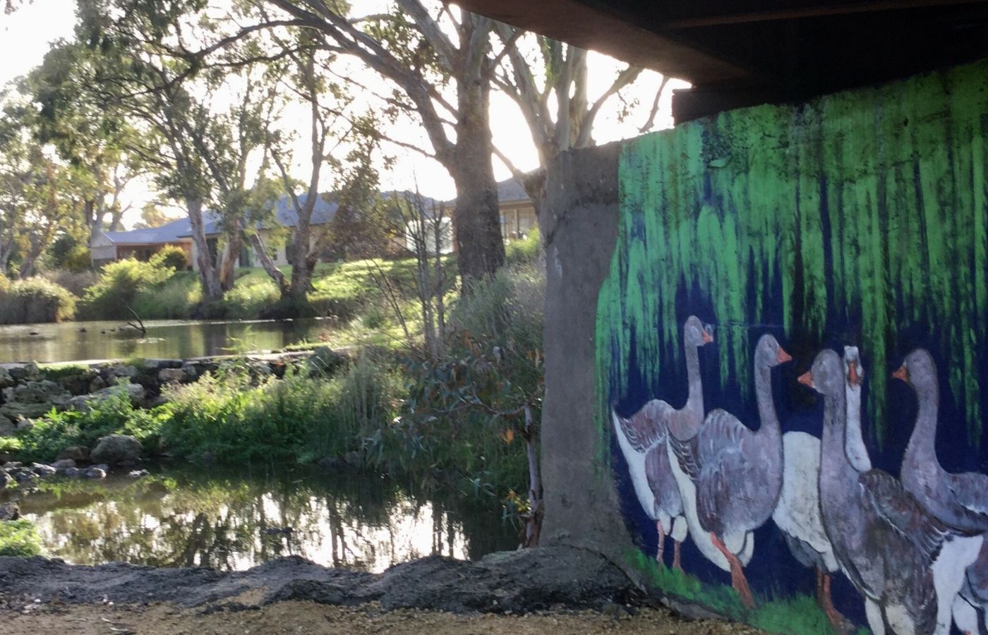 Pest control in Naracoorte Lucindale Council areas - Painted mural at Naracoorte caves