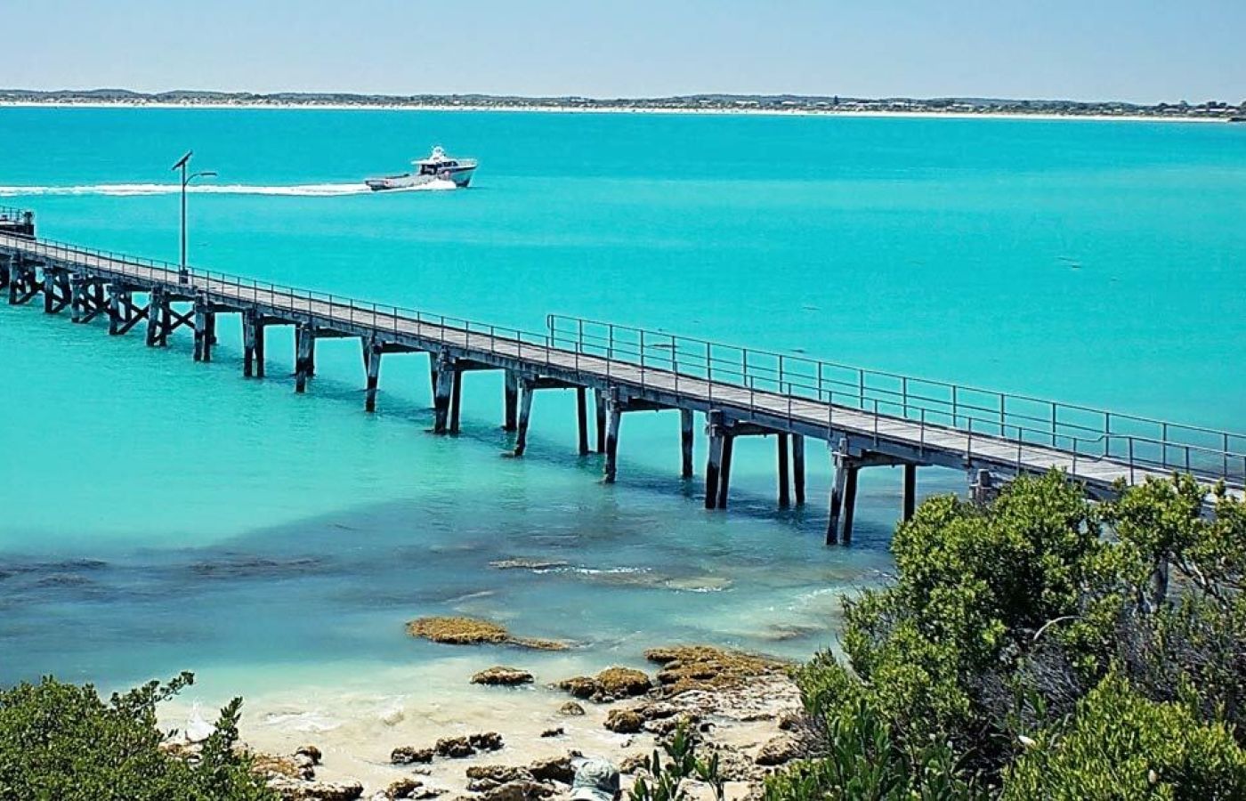 Pest control in the District Council of Robe - the Robe pier