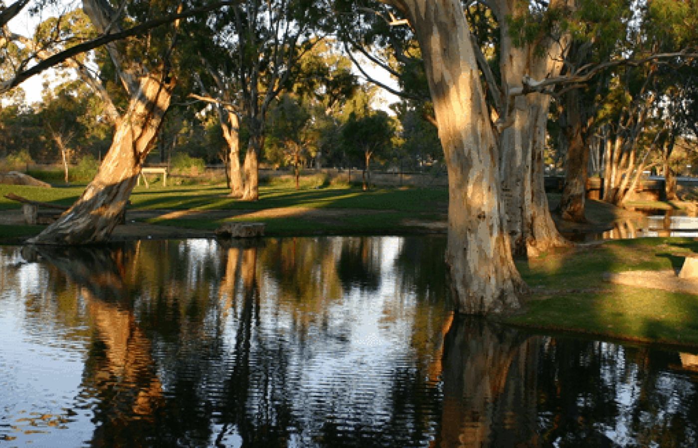 pest control in Tatiara District Council areas - bordertown