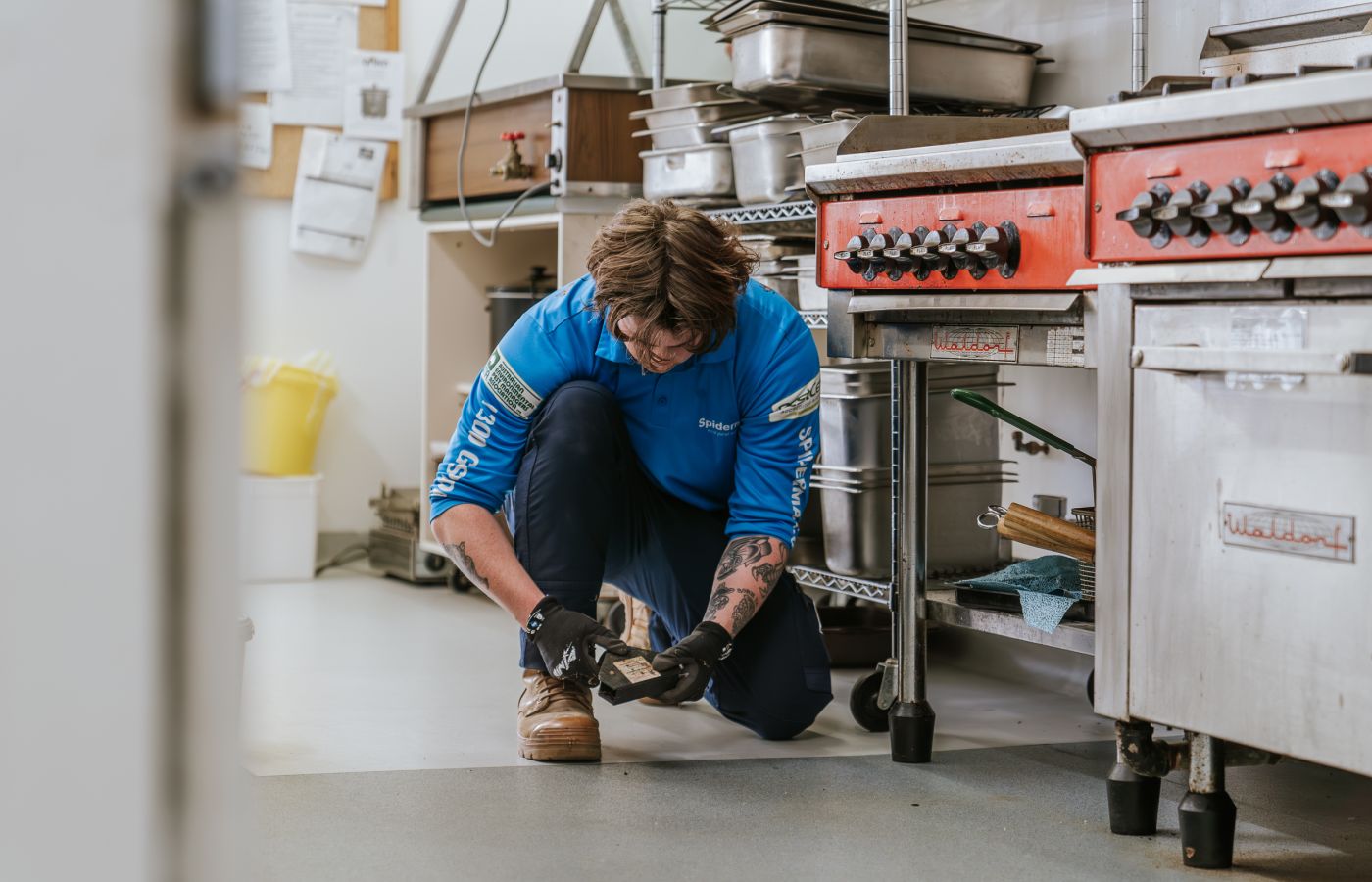 Commercial pest control for business - commercial kitchen