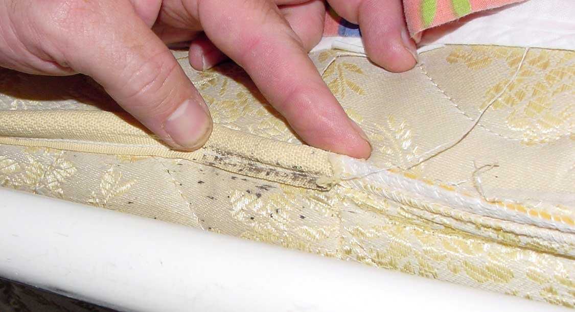 Mattress seam during a bed bug inspection