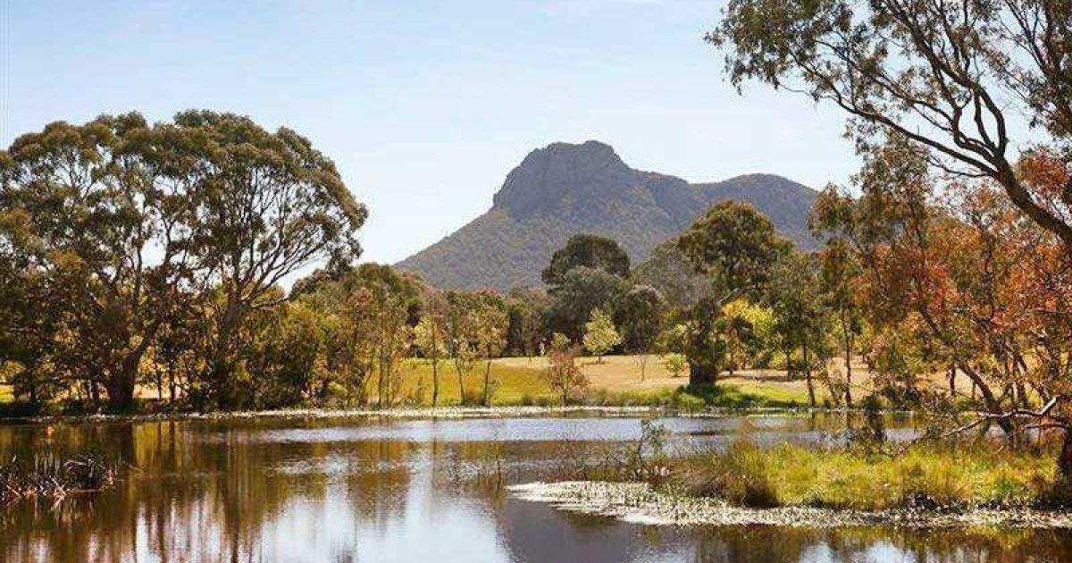 Southern Grampians Shire Council Eco Pest Control Spiderman SE