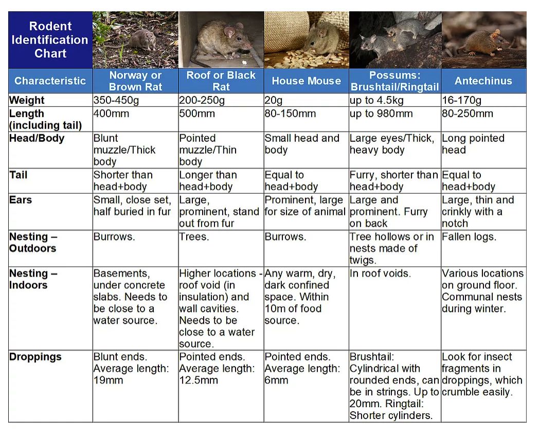 Rodent control - fact and identification table