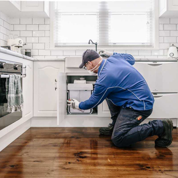 Applying general pest control treatment indoors
