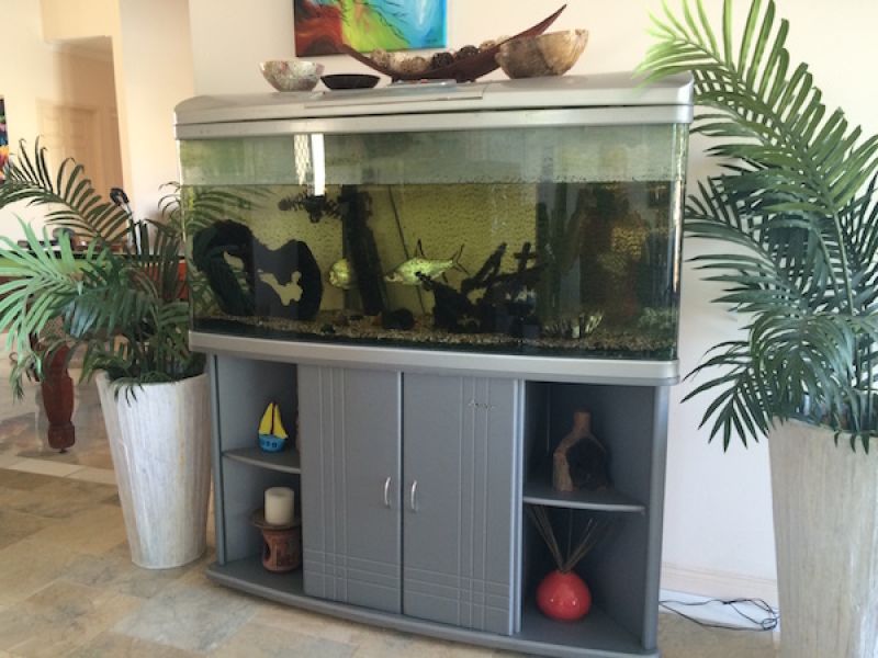Cover fish tanks before pest control treatments