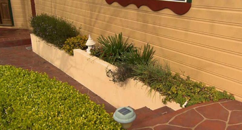 termite entry points garden beds blocking inspection zone
