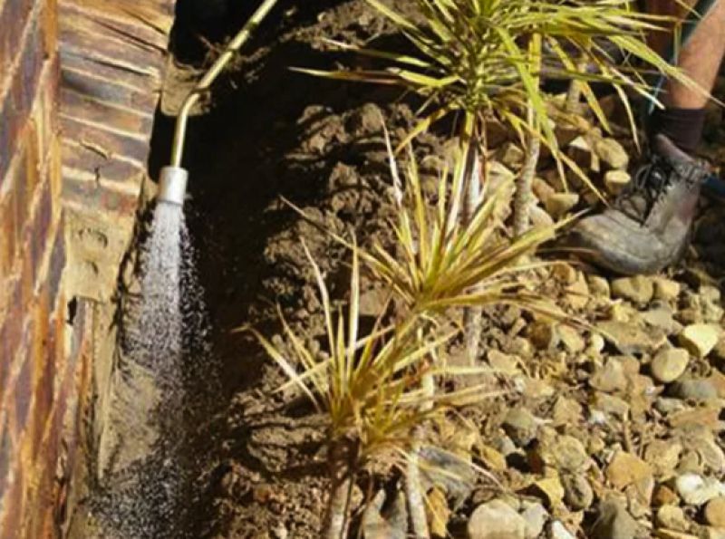 termite soil treatments