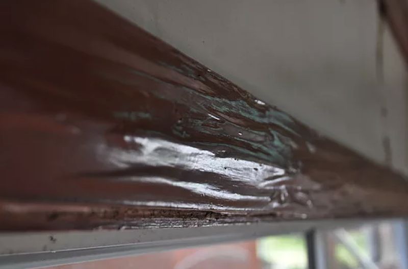 Ripples in the paint can be a sign of termites