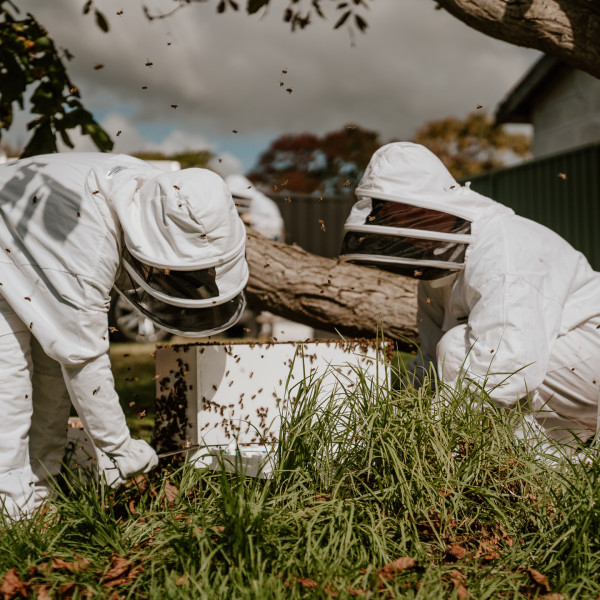 bee removal - pest control in protective bee suits