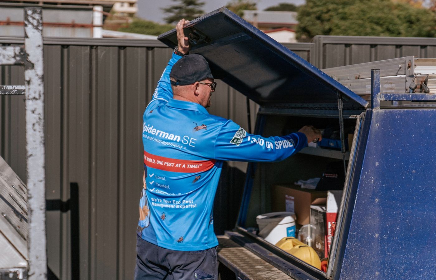 Pre-purchase pest inspection of property - Pest control services