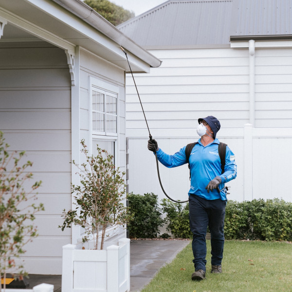 Residential pest control services - spraying outside house