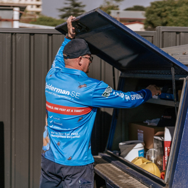 Pre-purchase pest inspection of property - Pest control services