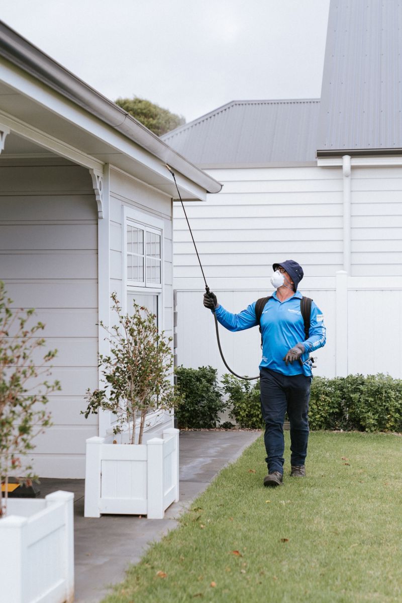 Residential pest control services - spraying outside house
