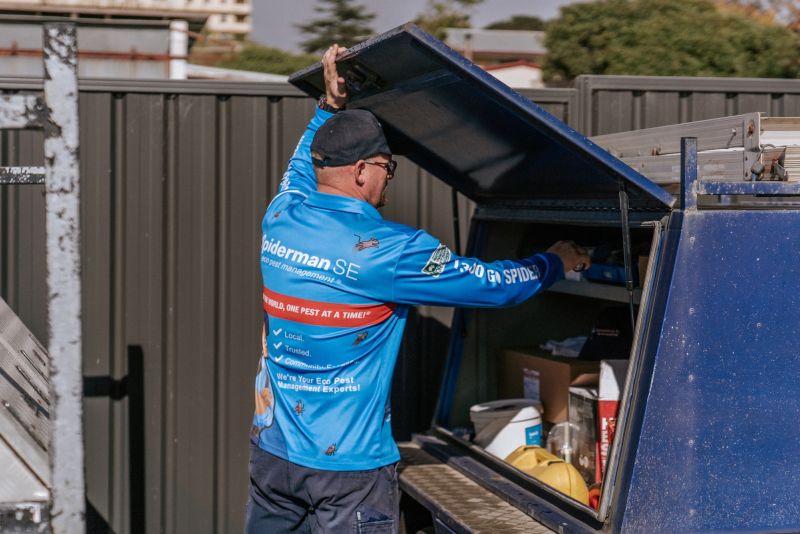 Pre-purchase pest inspection of property - Pest control services