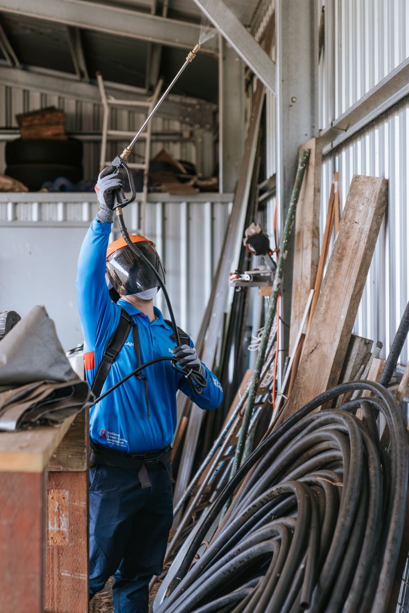 applying eco-friendly pest control spray inside the shed