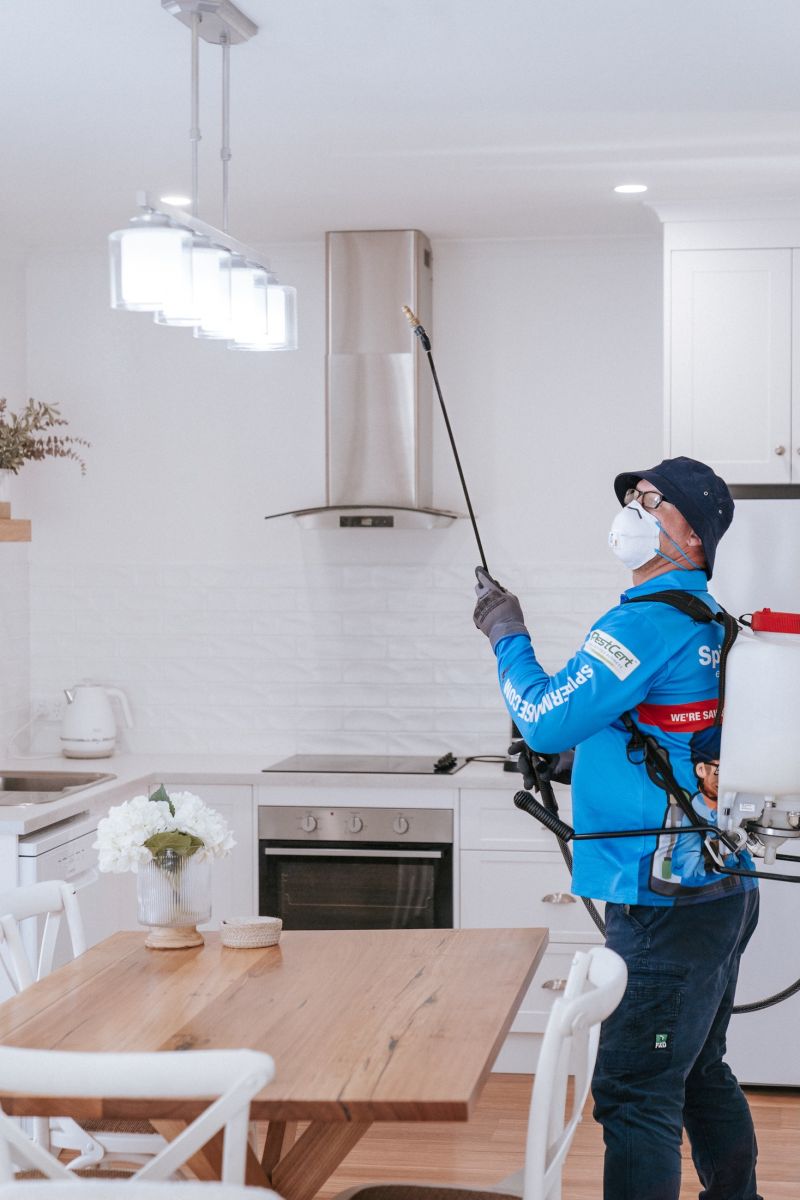 pest control treatment spraying inside house