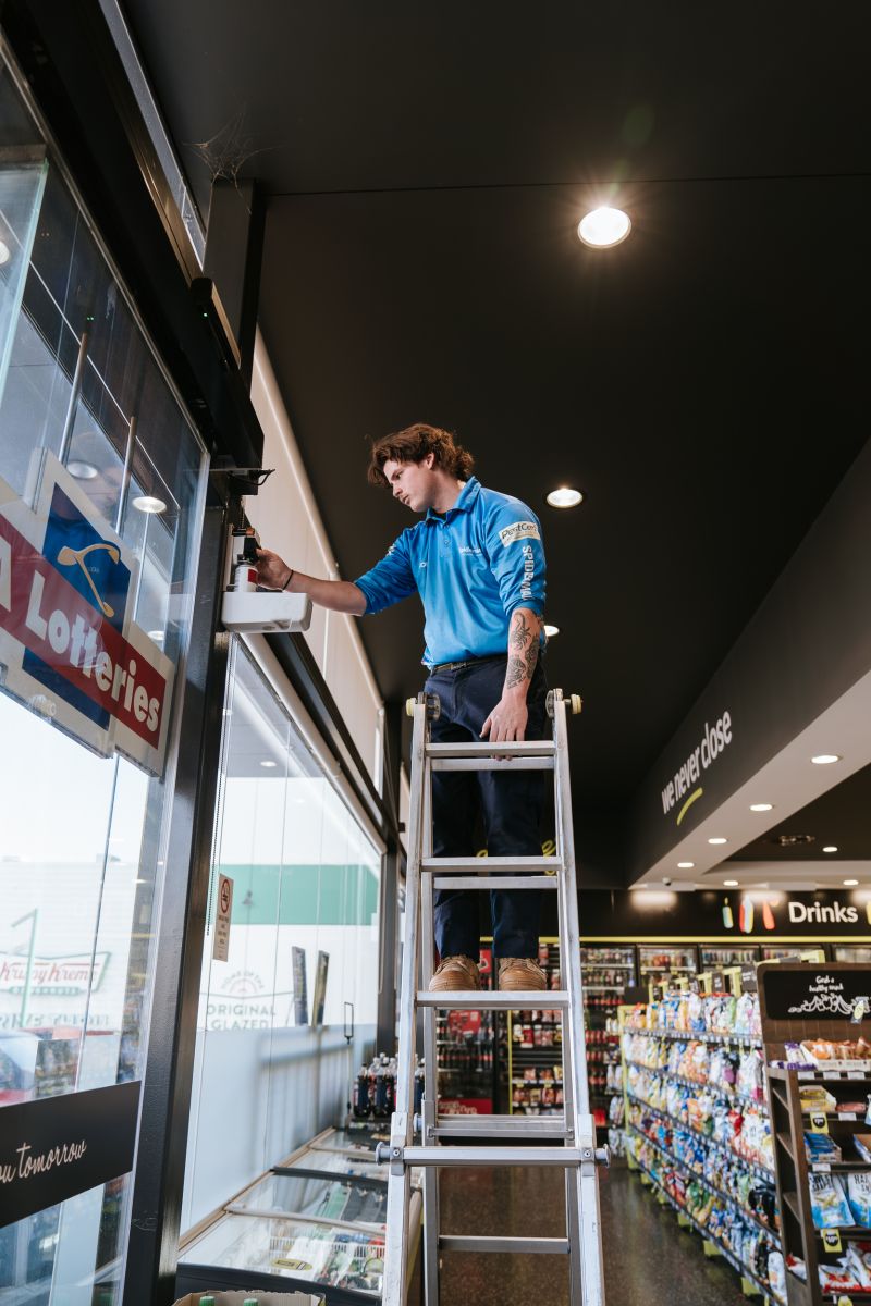 Commercial pest control for business - eco friendly pest control spray