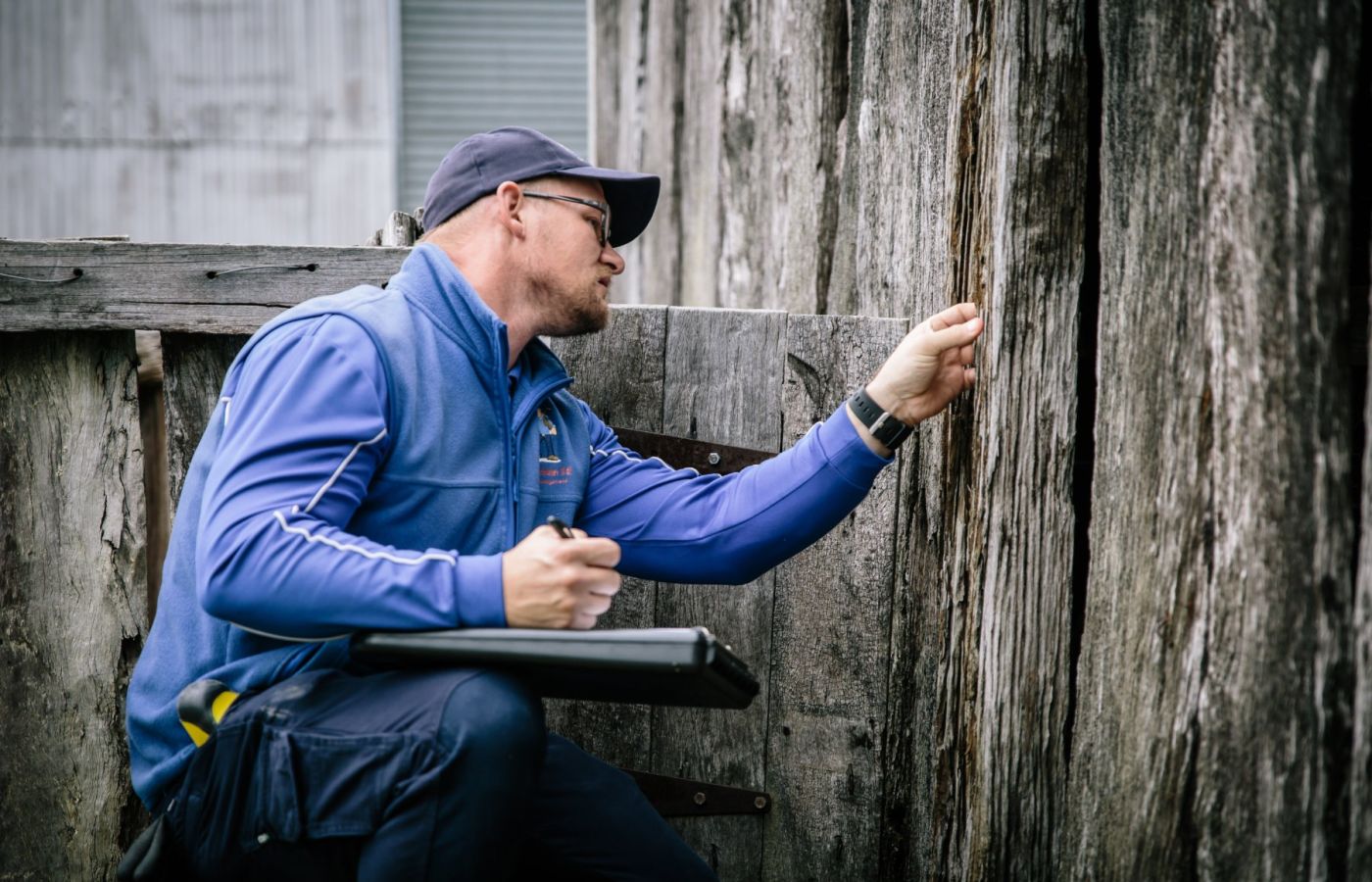 termite inspections - technician inspecting wood