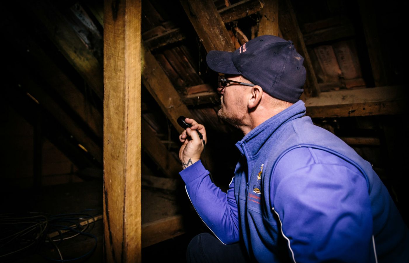 Pre-purchase pest inspection of property - Pest control services