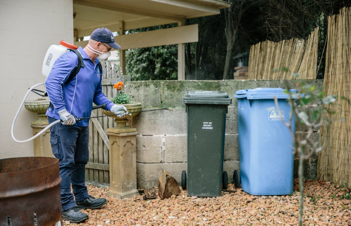 best time for pest control treatments