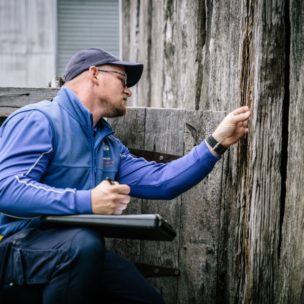 termite inspections - technician inspecting wood