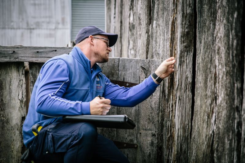 termite inspections - technician inspecting wood