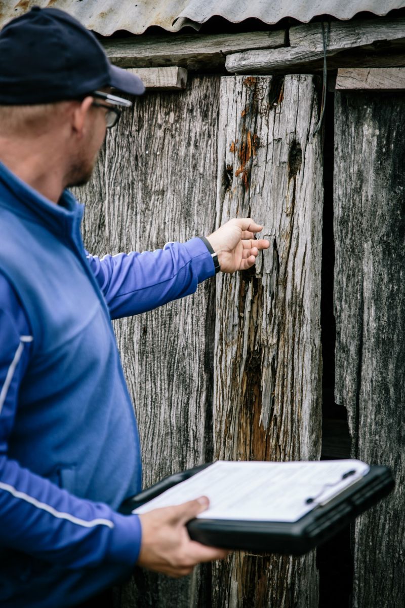 Termite inspections - technician performing property pre-purchase pest inspections