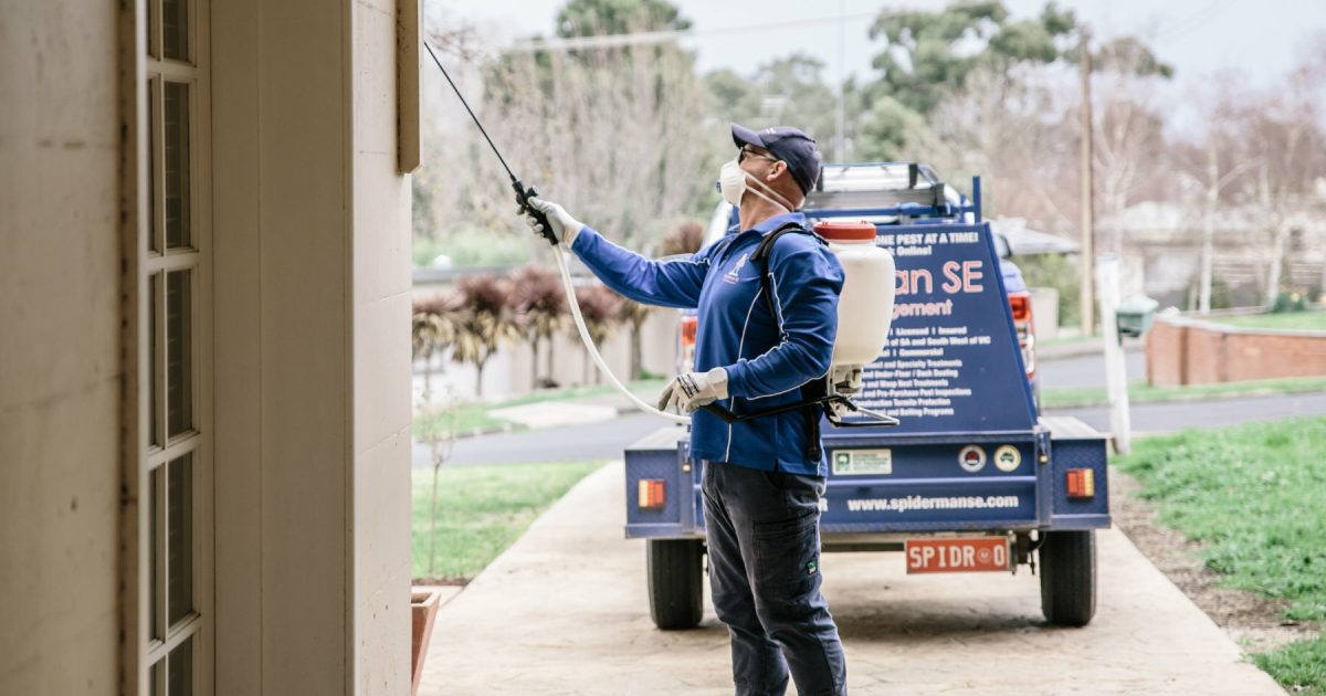 Pest Control Treatment Costs Considerations Spiderman SE