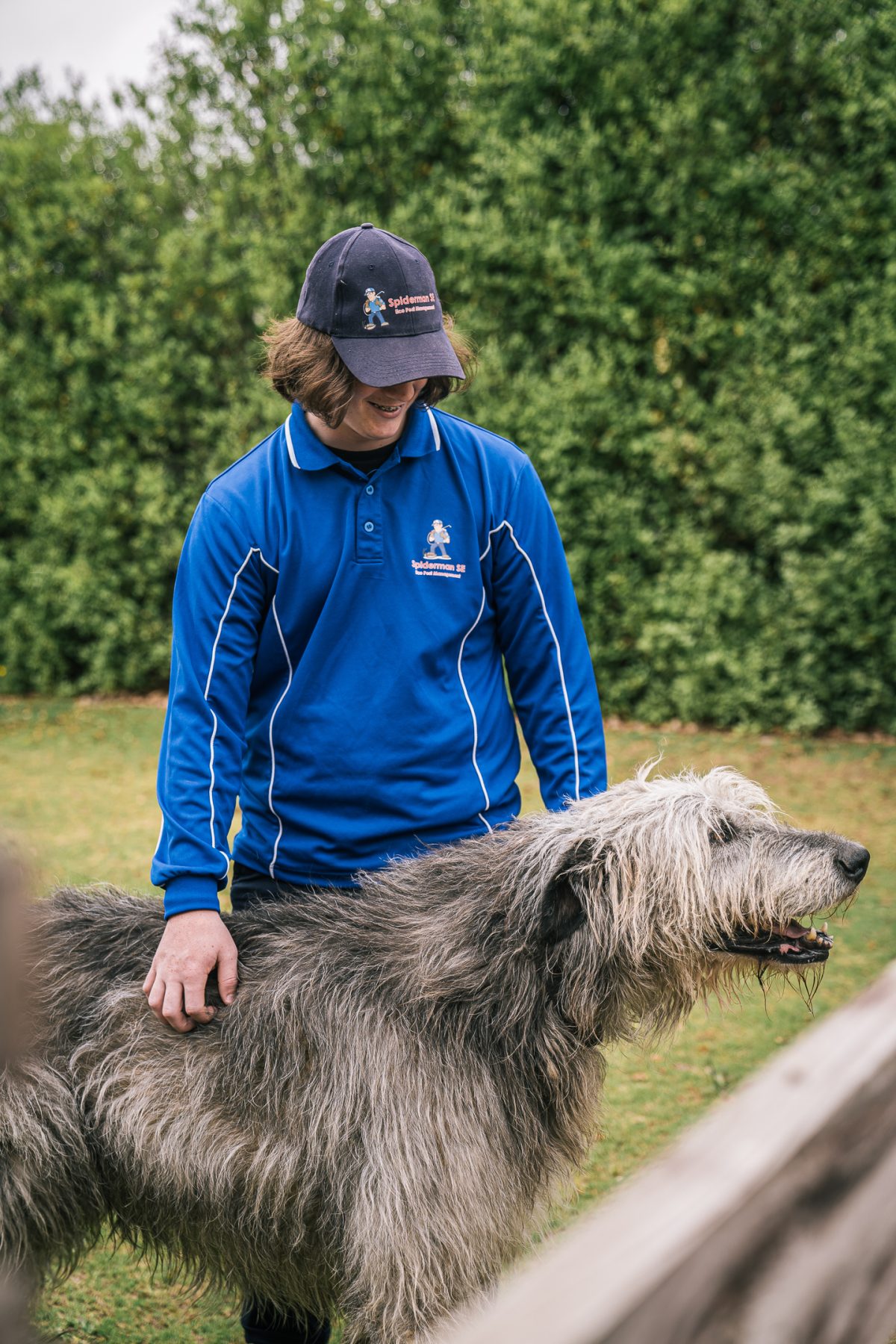 Pet friendly pest control, rodent control and termite treatments