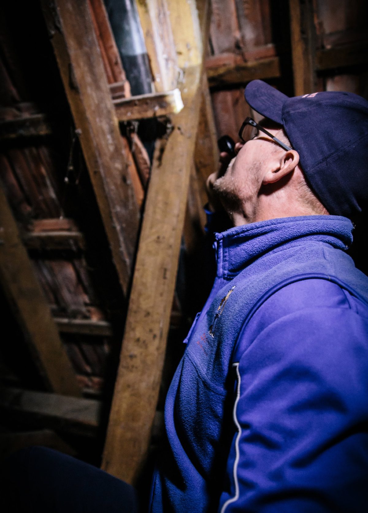 Conducting a termite inspection in the attic.